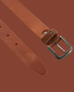 Albatross riem
