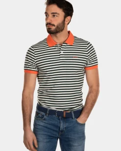 Gestreepte katoenen polo - Dark Pine
