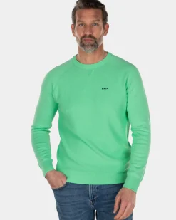 Katoenen trui met ronde hals groen - Sea Green