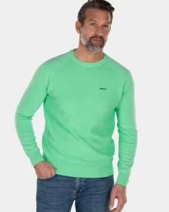 Katoenen trui met ronde hals groen - Sea Green