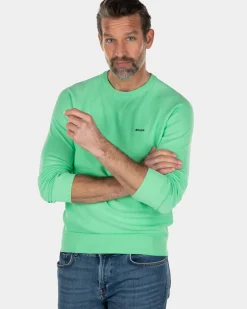 Katoenen trui met ronde hals groen - Sea Green